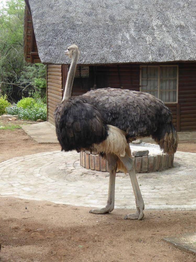 Kruger Cottage Marloth Park Eksteriør bilde